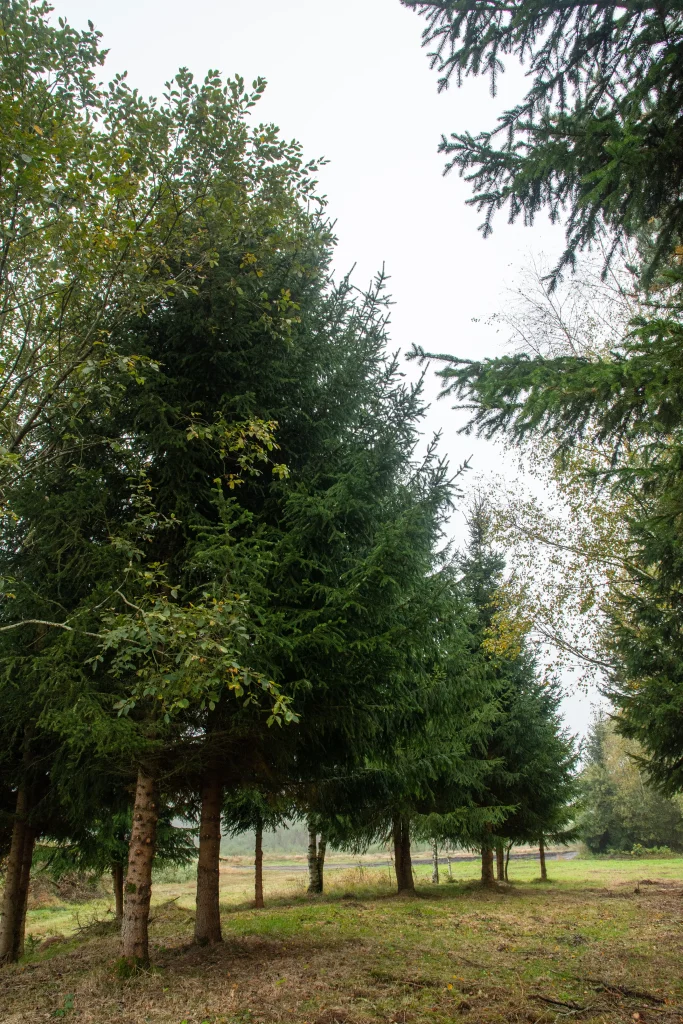 Naturpark Světlík